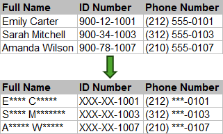 Mask sensitive information in Excel