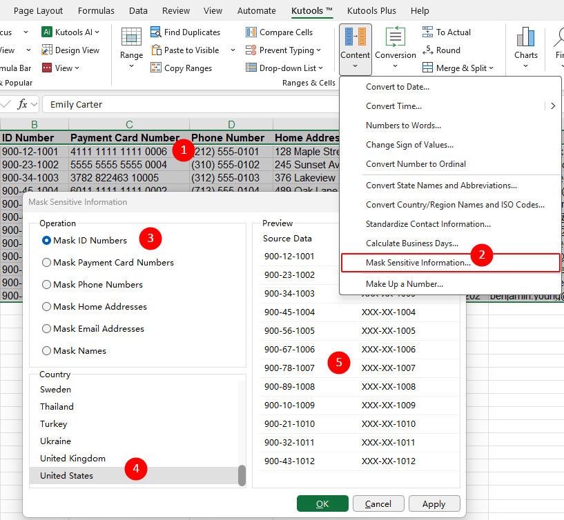 Mask Sensitive Information dialog box in Excel