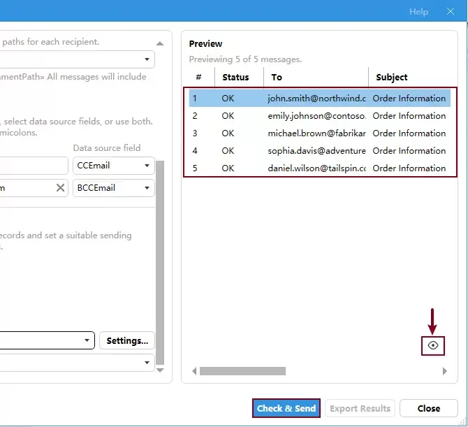 preview the email status and send