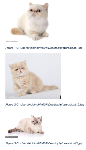 shot-images-have-been-inserted