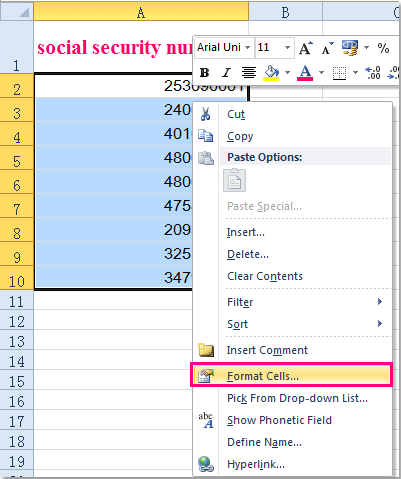 doc-add-dashes-to-ssn1