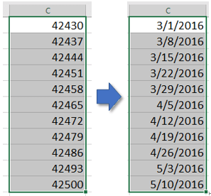 doc fill date weekly 11