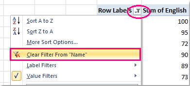 文档过滤器-top-10-pivottable-1