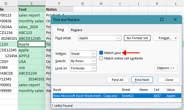 Use Match case in Excel Find and Replace