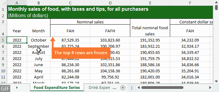 The worksheet with the top 4 rows frozen