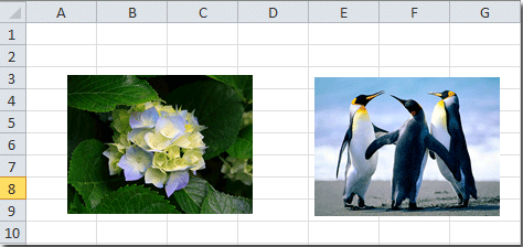 doc調整單元格以適合picture1