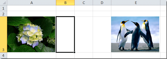 doc-redimensionner-la-cellule-pour-l'adapter-à-l'image2