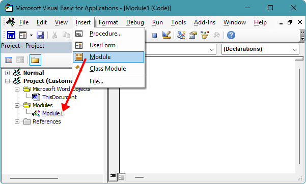 Insert a new module in the VBA editor by clicking Insert > Module