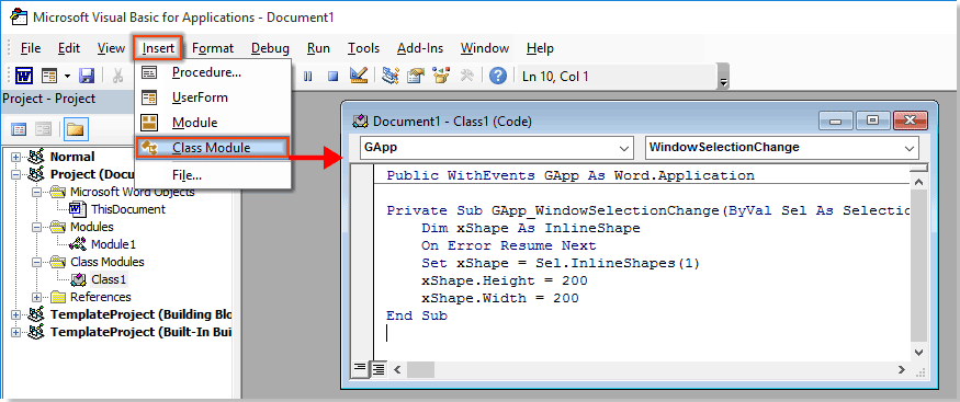 Microsoft Visual Basic for Applications window 1