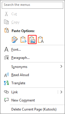 Picture option under Paste Options on the context menu