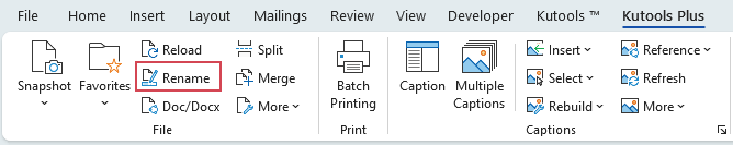 Rename Using the Save As Feature