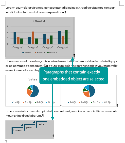 Paragraphs containing exactly one embedded object selected in the Word document