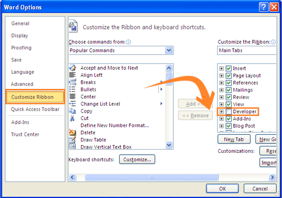 how to show developer tab in excel 2007