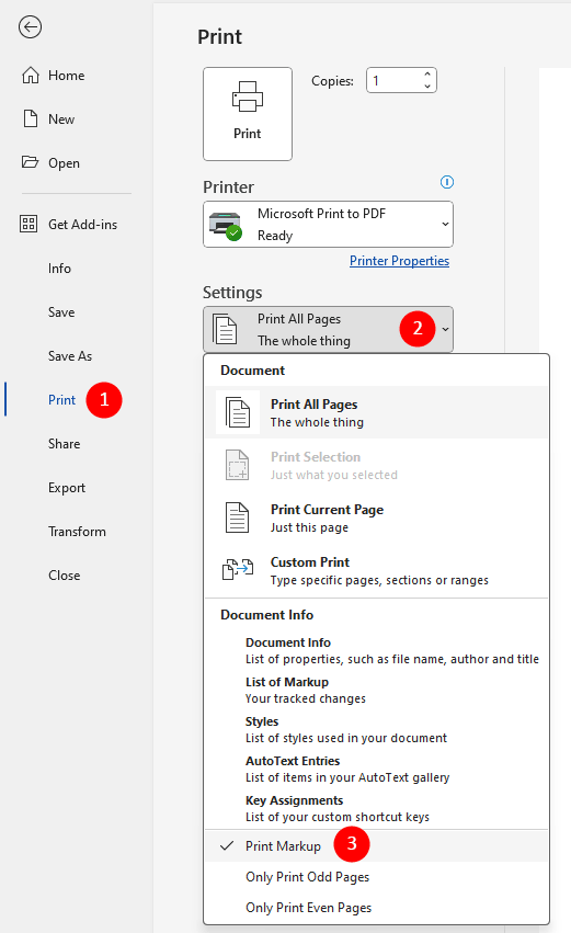 The Print settings