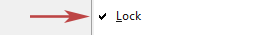 Check mark (√) beside Lock