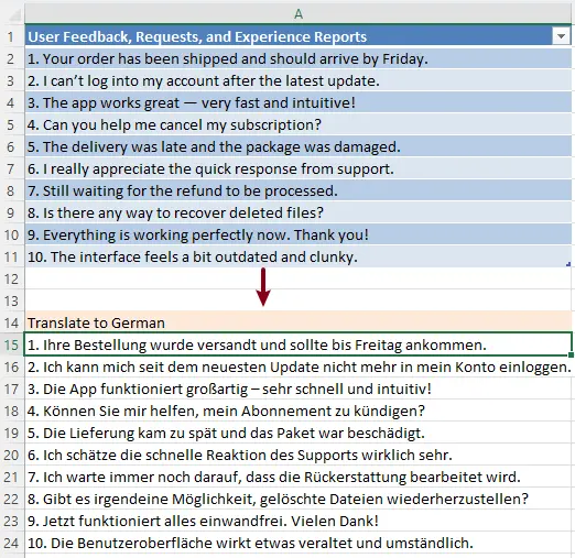 the translation result