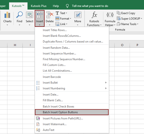 Option Button In Excel