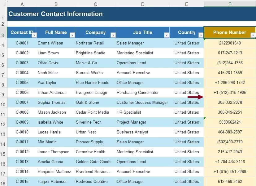 a screenshot shows the different format phone numbers in a column