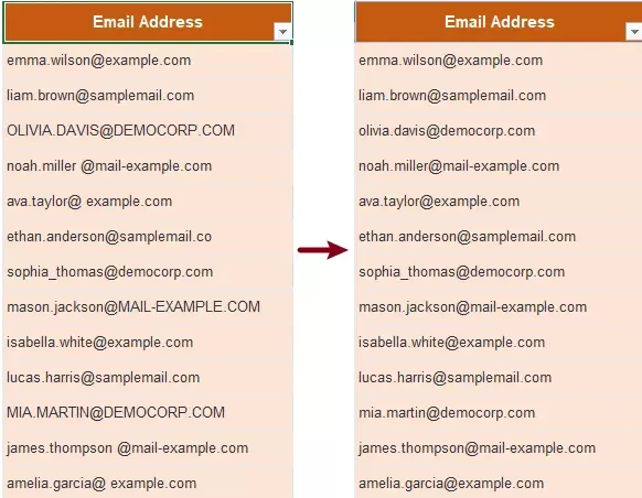 a screenshot showing different email addresses are standardized