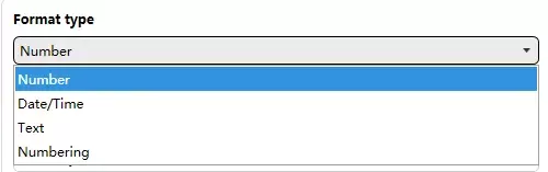 a screenshot shows the format types